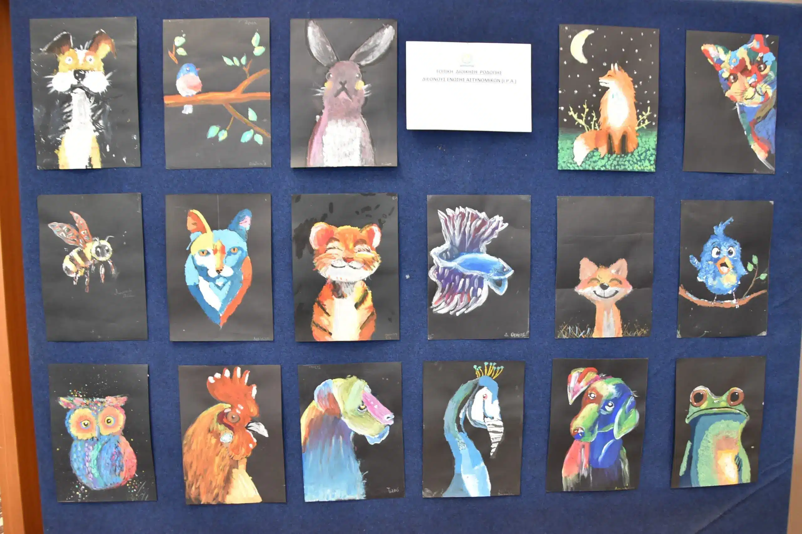 gepad hmerida gia ta zoa komotini elas 28 05 2025 4