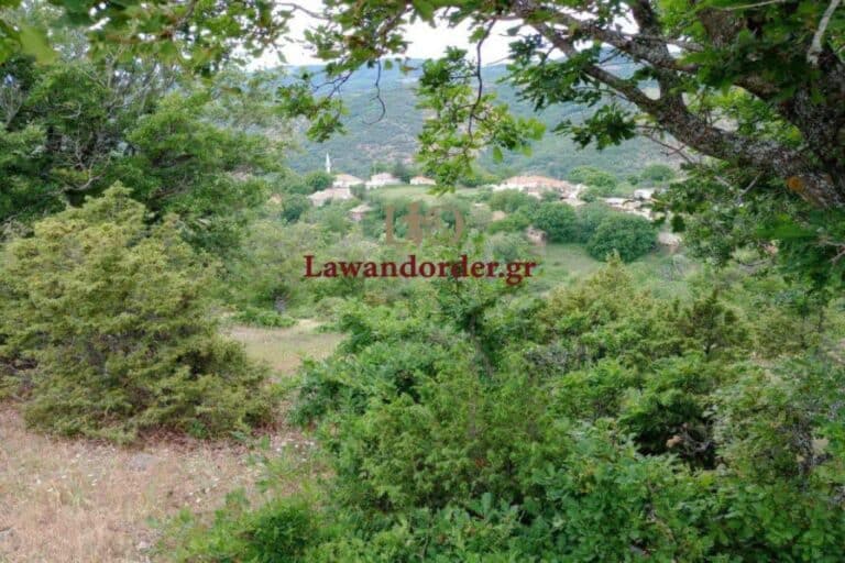 Στα βουνά της Ροδόπης κρυβόταν ο Τούρκος μαφιόζος που πυροβόλησε τους πράκτορες της ΕΥΠ – Πώς τον «ξετρύπωσε» η ΕΛ.ΑΣ (βίντεο)