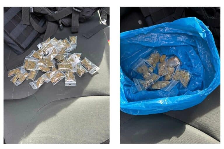 Ασπρόπυργος: Συνελήφθησαν δύο άνδρες για διακίνηση ναρκωτικών – Τι κατέσχεσε η ΕΛ.ΑΣ