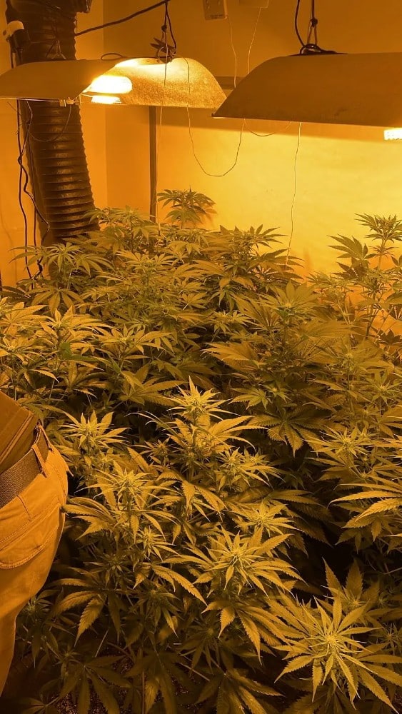 narkotika tsigara athina 1 5 2025 2