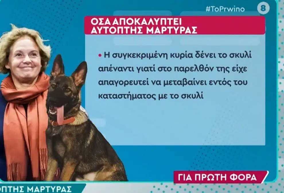 proino glomex 08 05 2025 1