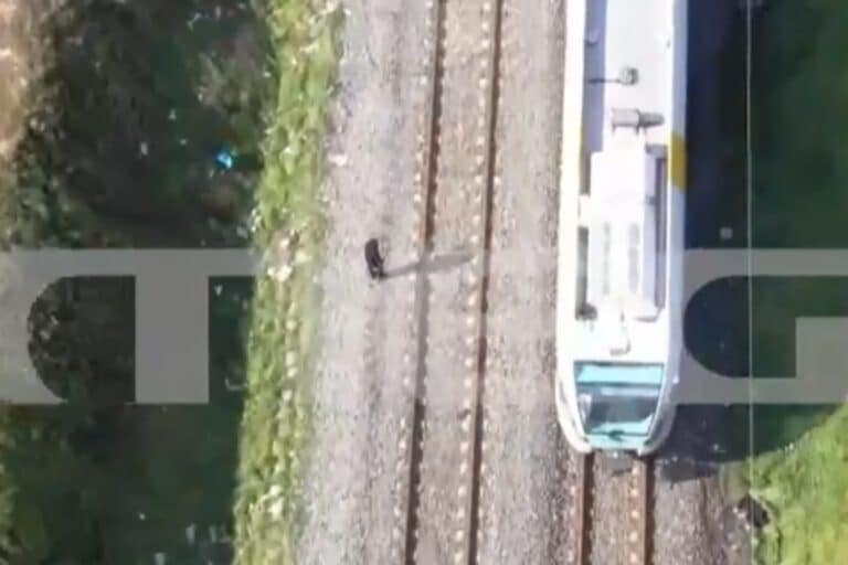 Ρομά κλέβουν μέταλλα και καλώδια από τις ράγες των τρένων – Πετούν πέτρες σε συρμούς (βίντεο)