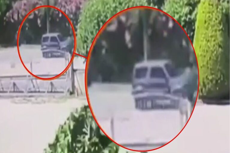 Σχέδιο διαφυγής στη Βουλγαρία είχε ο Τούρκος μαφιόζος – Συνελήφθη στην Κάτω Βυρσίνη Ροδόπης