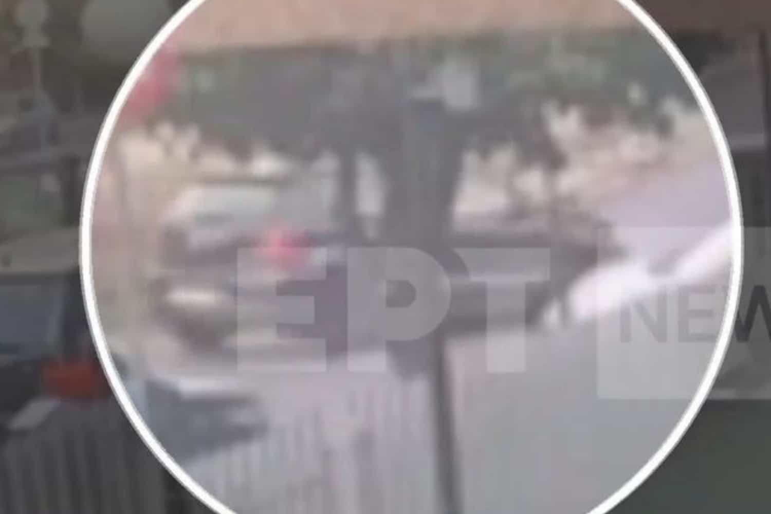 xalandri troxaio 25 5 25