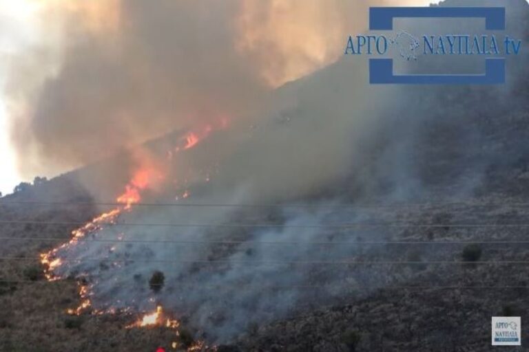 Μεγάλη φωτιά στην Αργολίδα – Επιχειρούν και εναέρια μέσα