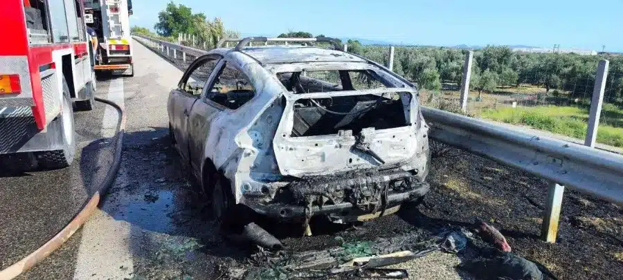 arxhgos elas arxhgos astynomias boreias kamedonias 03 06 2025 1