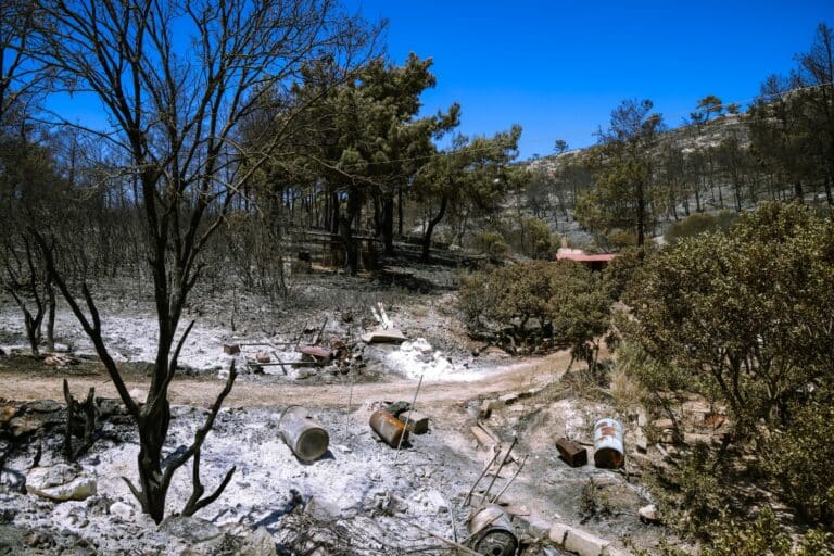 Συγκίνηση στη Χίο: Έστειλαν ευχαριστήριο μήνυμα και τούρτα στους πυροσβέστες (εικόνες & βίντεο)