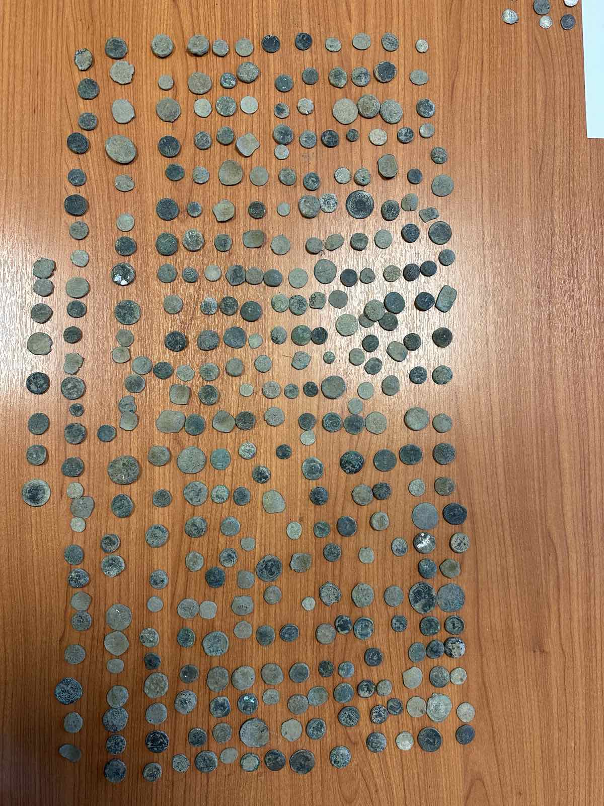 egklhmatikes organvseis elas arxaiokaphlia 24 06 2025 8