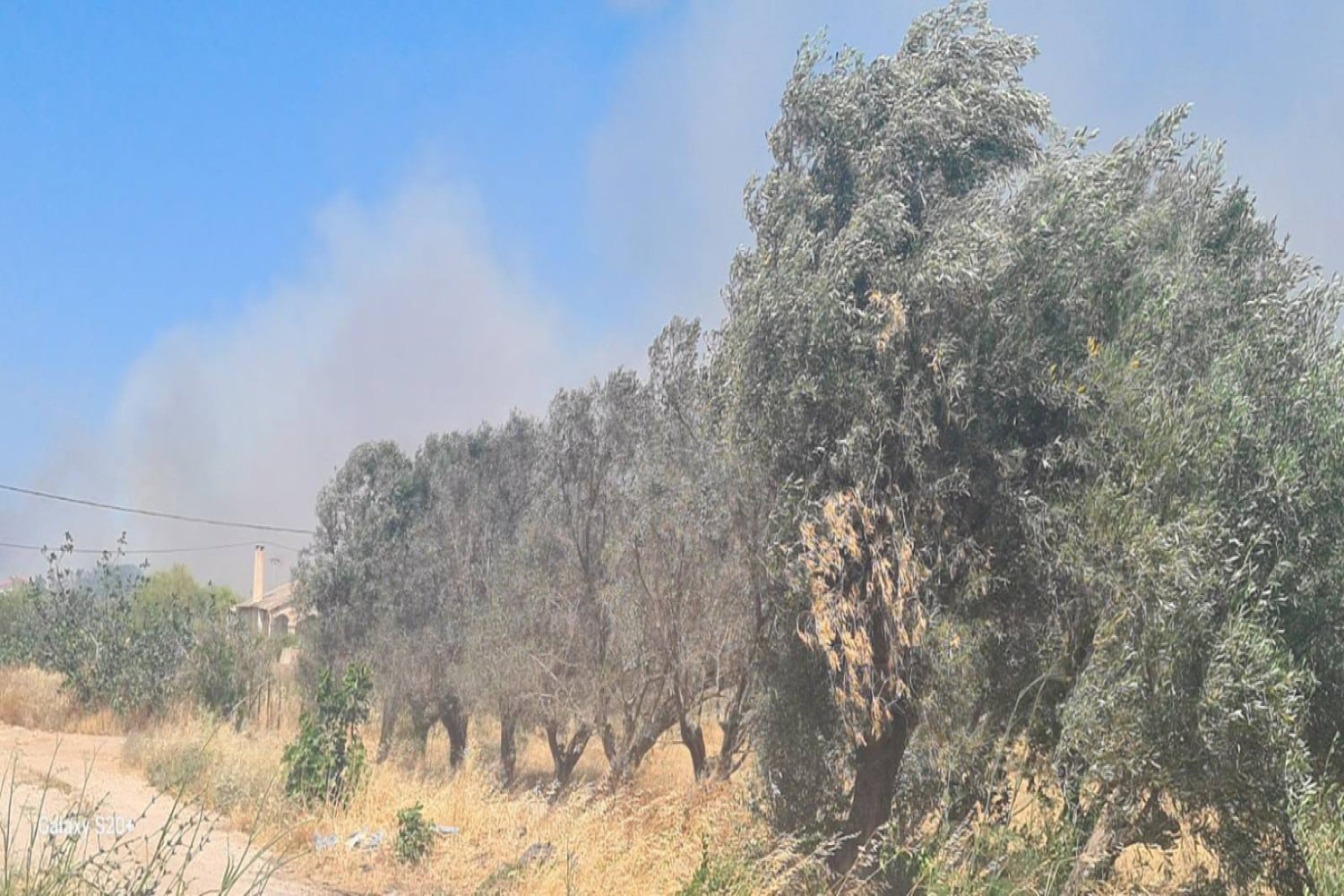 fotia anavyssos 10 6 2025 3