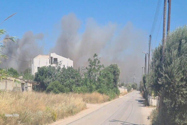 Εκκενώνονται Ανάβυσσος και Παλαιά Φώκαια – Κοντά στα σπίτια η φωτιά, ήχησε το «112» (εικόνες)