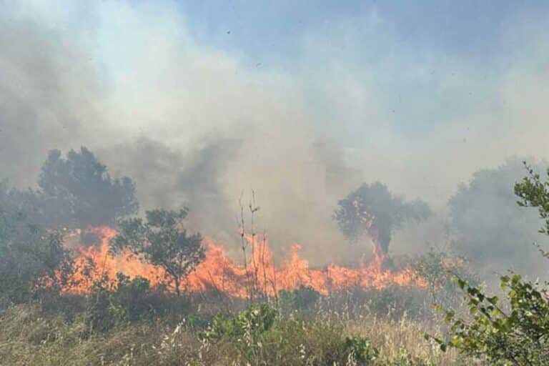 Φωτιά τώρα στην Αρτέμιδα – Συναγερμός στην Πυροσβεστική