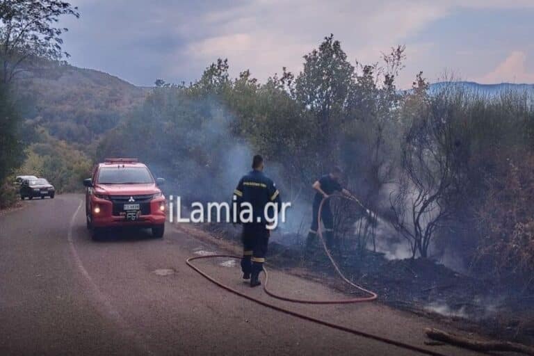 Φωτιά εκδηλώθηκε στη Φθιώτιδα – Επιχειρούν και εναέρια μέσα