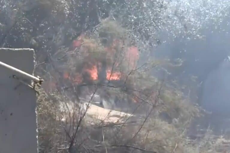 Ανεξέλεγκτη η φωτιά στην Παλαιά Φώκαια: Κάηκαν ολοσχερώς σπίτια στο Θυμάρι – Εκκενώνονται οικισμοί, σε ετοιμότητα το Λιμενικό (βίντεο)