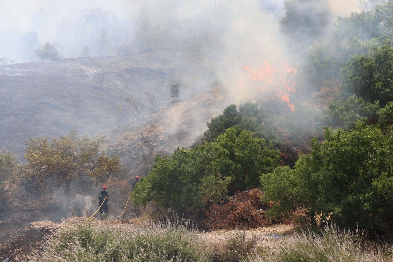 fotia xios 22 6 2025 2