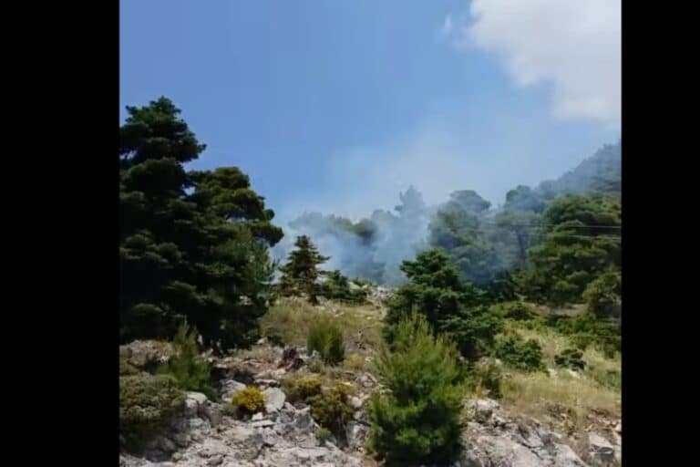 Φωτιά τώρα στα Βίλια Αττικής – Συναγερμός στην Πυροσβεστική