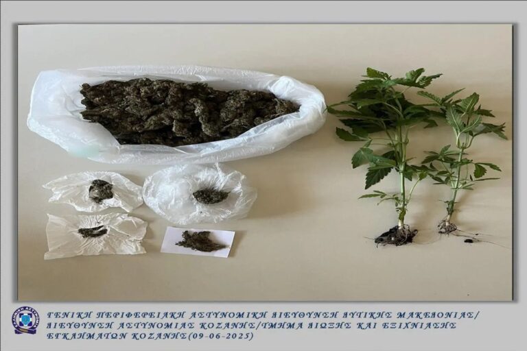 Κοζάνη: Συνελήφθη 60χρονος για διακίνηση ναρκωτικών και καλλιέργεια δενδρυλλίων κάνναβης