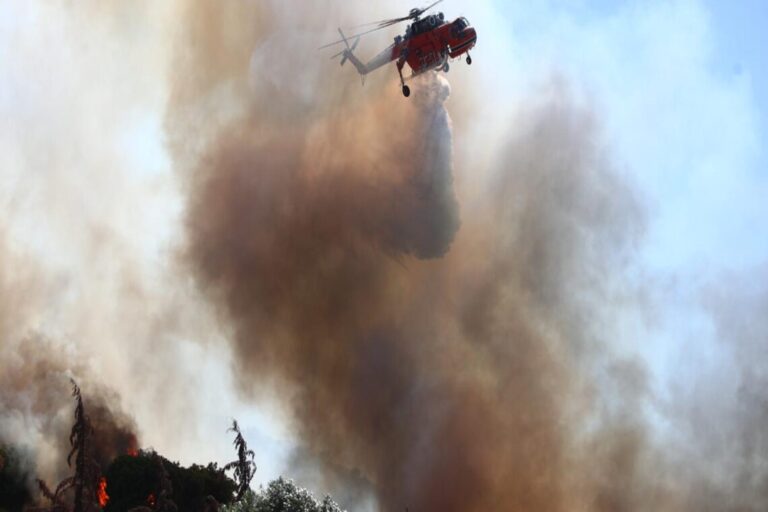Φωτιά τώρα στην Πλανά Χαλκιδικής – Επιχειρούν και εναέρια μέσα