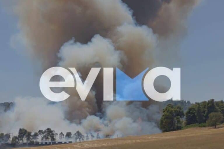 Φωτιά ξέσπασε σε δάσος στην Εύβοια – Ήχησε το «112», εκκενώνεται ο Πισσώνας (βίντεο)