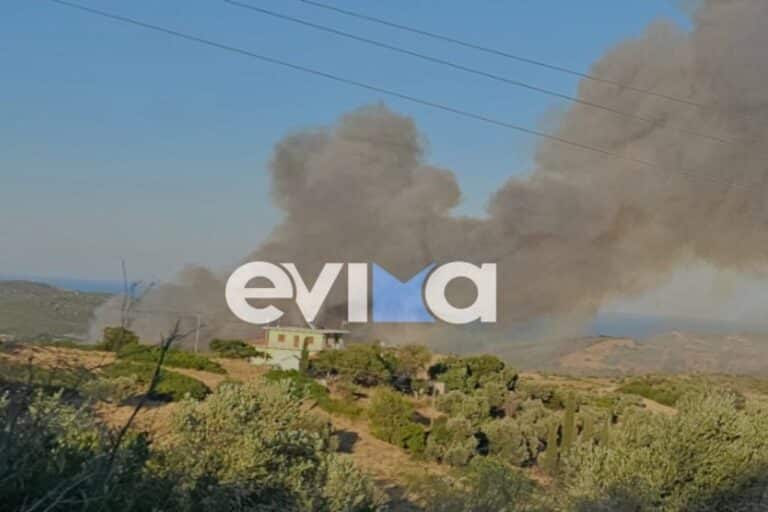 Κινδύνεψαν σπίτια από τη φωτιά στην Εύβοια – «Φοβηθήκαμε πολύ» λέει κάτοικος της περιοχής (βίντεο)