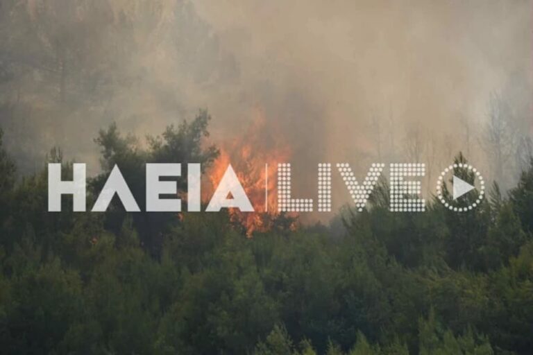 Φωτιά στον Πύργο: Ενισχύθηκαν οι δυνάμεις της Πυροσβεστικής στα Αστεραίικα (βίντεο)