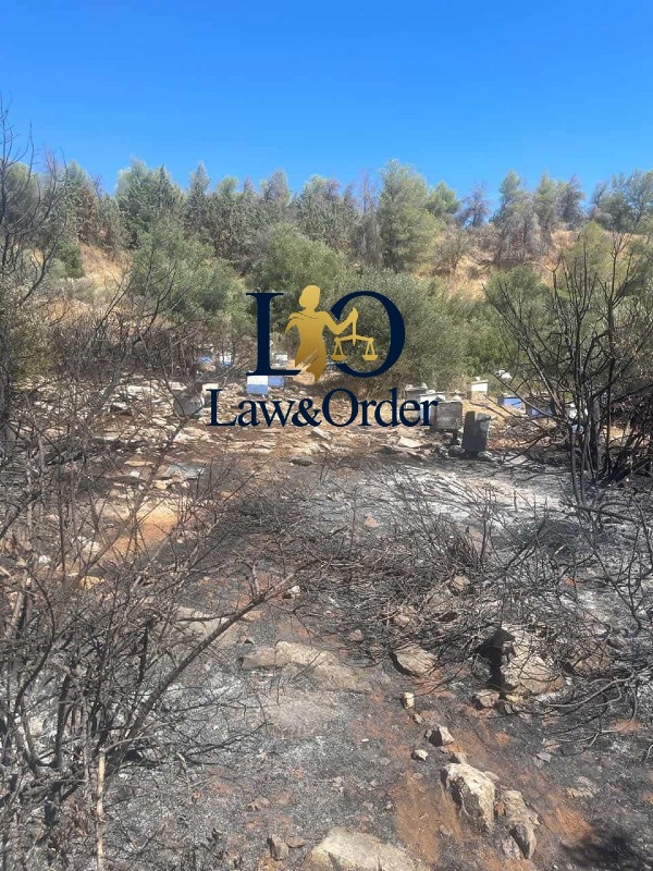 fotia imittos 31 7 2025 2