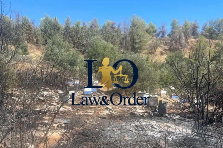 Φωτιά στον Υμηττό: Από μελίσσια εντός της Πολυτεχνιούπολης ξεκίνησε η πυρκαγιά – Επιβλήθηκαν τρία πρόστιμα