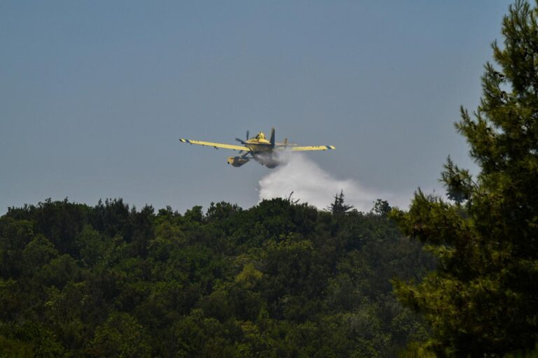 Φωτιά στην Πέτρα Πιερίας – Συναγερμός στην Πυροσβεστική 