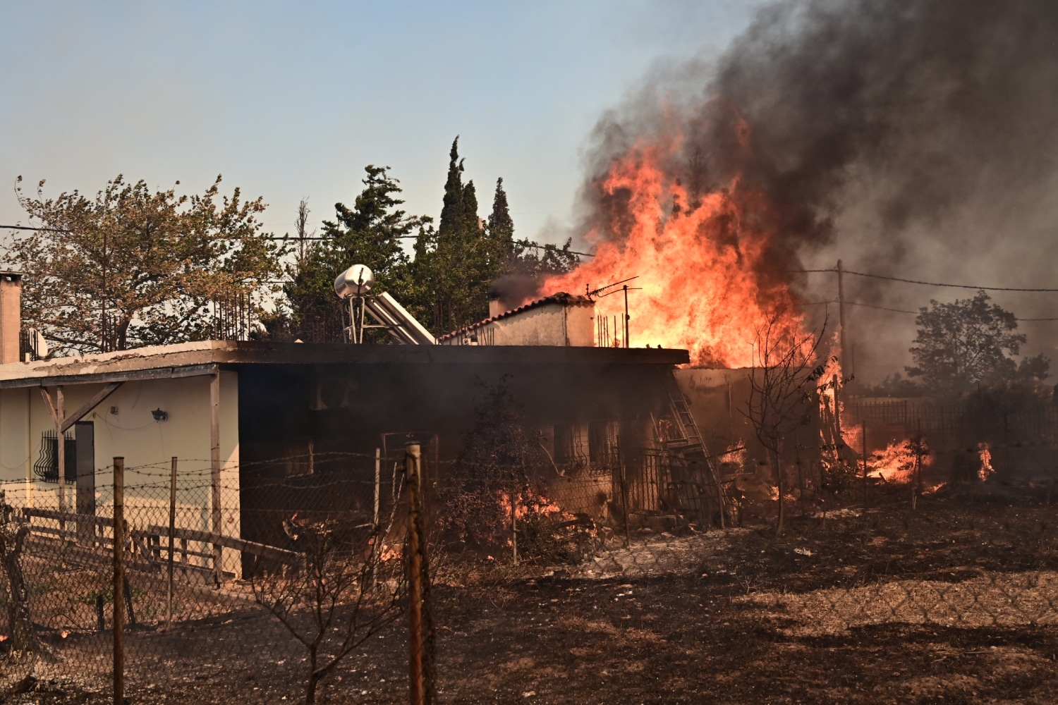 fotia kryoneri 26 7 1 1