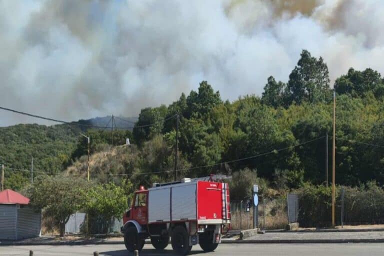 Φωτιά ξέσπασε στο Νεοχώρι Ιωαννίνων – Ήχησε το «112», «απομακρυνθείτε προς Δελβινάκη» (βίντεο)