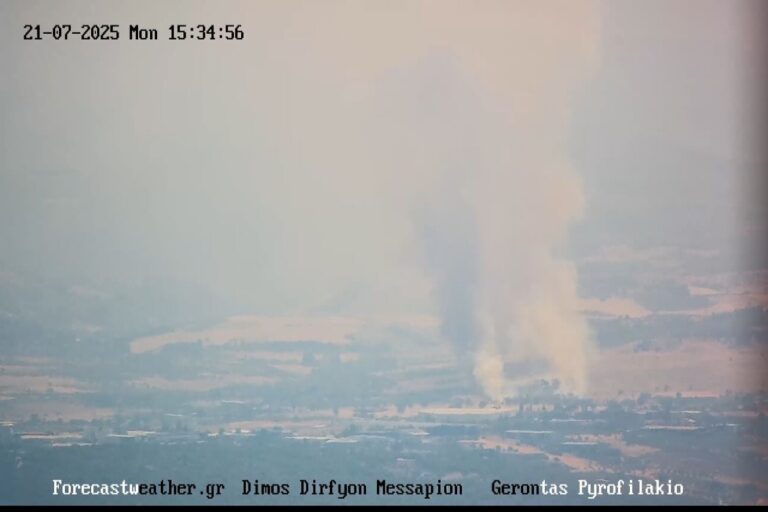 Φωτιά στα Οινόφυτα Τανάγρας – Στο σημείο επιχειρούν ισχυρές δυνάμεις της Πυροσβεστικής