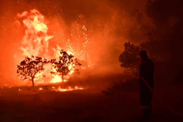 Ανεξέλεγκτη η φωτιά στον Ωρωπό – Μία «ανάσα» από τα σπίτια οι φλόγες, ανησυχία για ενίσχυση των ανέμων (εικόνες & βίντεο)