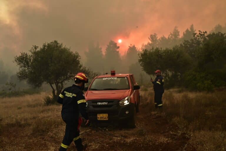 Μαίνεται η φωτιά στον Ωρωπό: Καίει παρθένο πευκοδάσος – Ενισχύθηκαν οι δυνάμεις της Πυροσβεστικής (εικόνες & βίντεο)