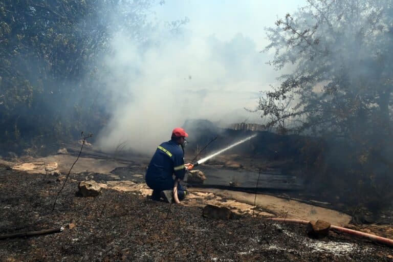 Μεσσηνία: Στο νοσοκομείο πυροσβέστης που επιχειρούσε στην φωτιά στον Αετό