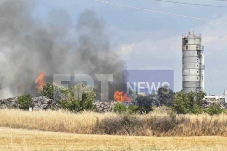 Φωτιά στις Σέρρες – Καίγεται εργοστάσιο ξυλείας (εικόνες)