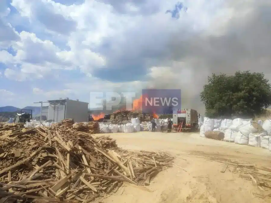 fotia serres ergostasio xyleias 01 07 2025 2