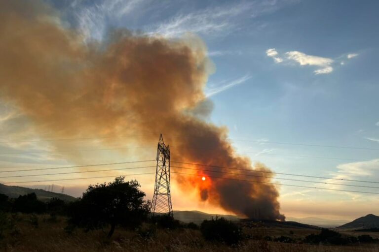 Θεσσαλονίκη: Πυρκαγιά σε δασική έκταση στο Ωραιόκαστρο – Ήχησε το «112» (βίντεο)