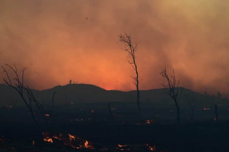 Φωτιές στην Ελλάδα: Στάχτη 454.000 στρέμματα το 2025 – Στην Ευρώπη χάθηκαν 9 εκατομμύρια εκτάσεις