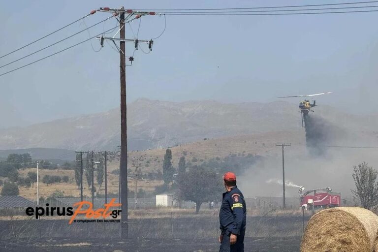 Φωτιά τώρα στα Ιωάννινα – Μια ανάσα από σπίτια και επιχειρήσεις (βίντεο)