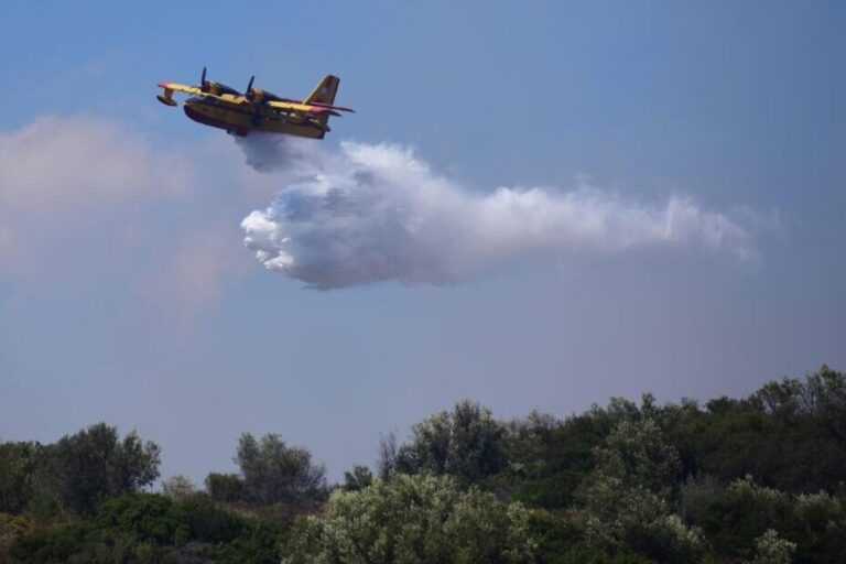 Φωτιά στη Λαγόμανδρα Χαλκιδικής – Ήχησε το «112»