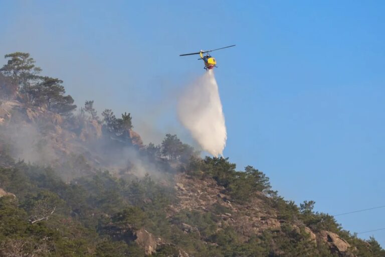 Γρήγορη επέμβαση στον Δήμο Λαυρεωτικής: Φωτιά οριοθετήθηκε μέσα σε μία ώρα