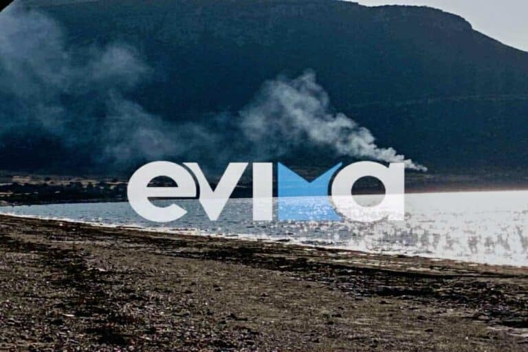 Φωτιά στην Εύβοια – Συναγερμός στην Πυροσβεστική (βίντεο)