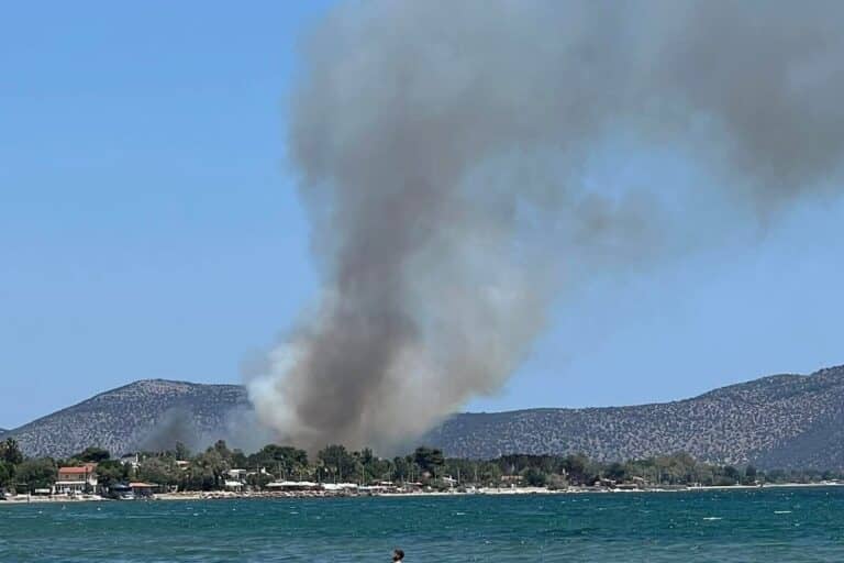 Φωτιά τώρα στον Μαραθώνα – Μήνυμα από το 112 για εκκένωση