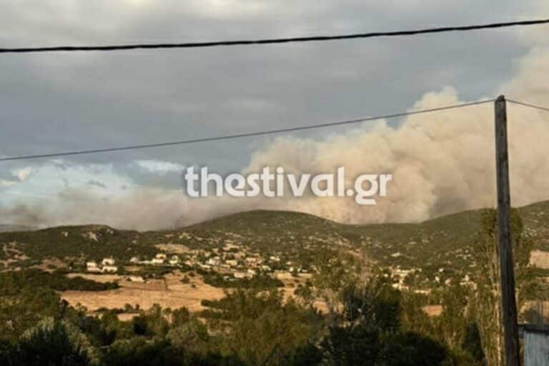 Θεσσαλονίκη: Σε ύφεση η φωτιά σε δασική έκταση στο Μεσαίο – Ισχυρές δυνάμεις της Πυροσβεστικής στο σημείο