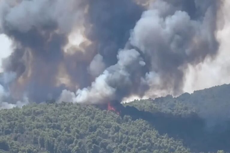 Χαλκιδική: Φωτιά στη Βουρβουρού – Στάλθηκε μήνυμα από το «112» στους κατοίκους της περιοχής (βίντεο)