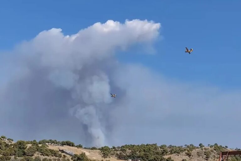 Χαλκιδική: Βελτιωμένη η εικόνα της φωτιάς  – Τι αναφέρει ο δήμαρχος Σιθωνίας (βίντεο)