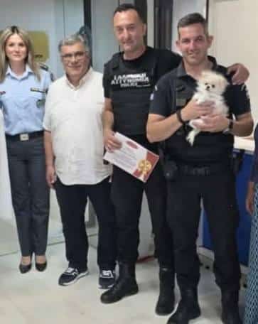 ioannina brabefsi diasosi skylakos elas 03 07 2025 2