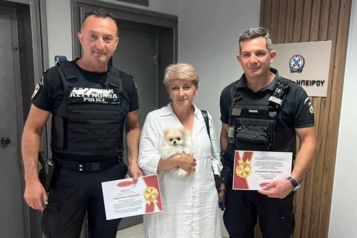 ioannina brabefsi diasosi skylakos elas 03 07 2025 4 1 kentriki