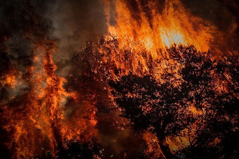 Φλέγεται η Ισπανία: 14 μεγάλα πύρινα μέτωπα – Επτά νεκροί και πάνω από 1,5 εκατ. στρέμματα η καμένη γη (βίντεο)