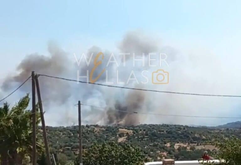 Φωτιά στη Λακωνία: Ήχησε το 112 – «Απομακρυνθείτε προς Νεάπολη»