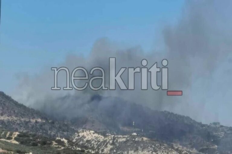 Φωτιά τώρα στο Λασίθι: «Σηκώθηκαν» ελικόπτερα στην περιοχή Αχλιά (βίντεο)